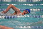 Swim vs Bentley  Wheaton College Swimming & Diving vs Bentley University. - Photo by Keith Nordstrom : Wheaton, Swimming & Diving